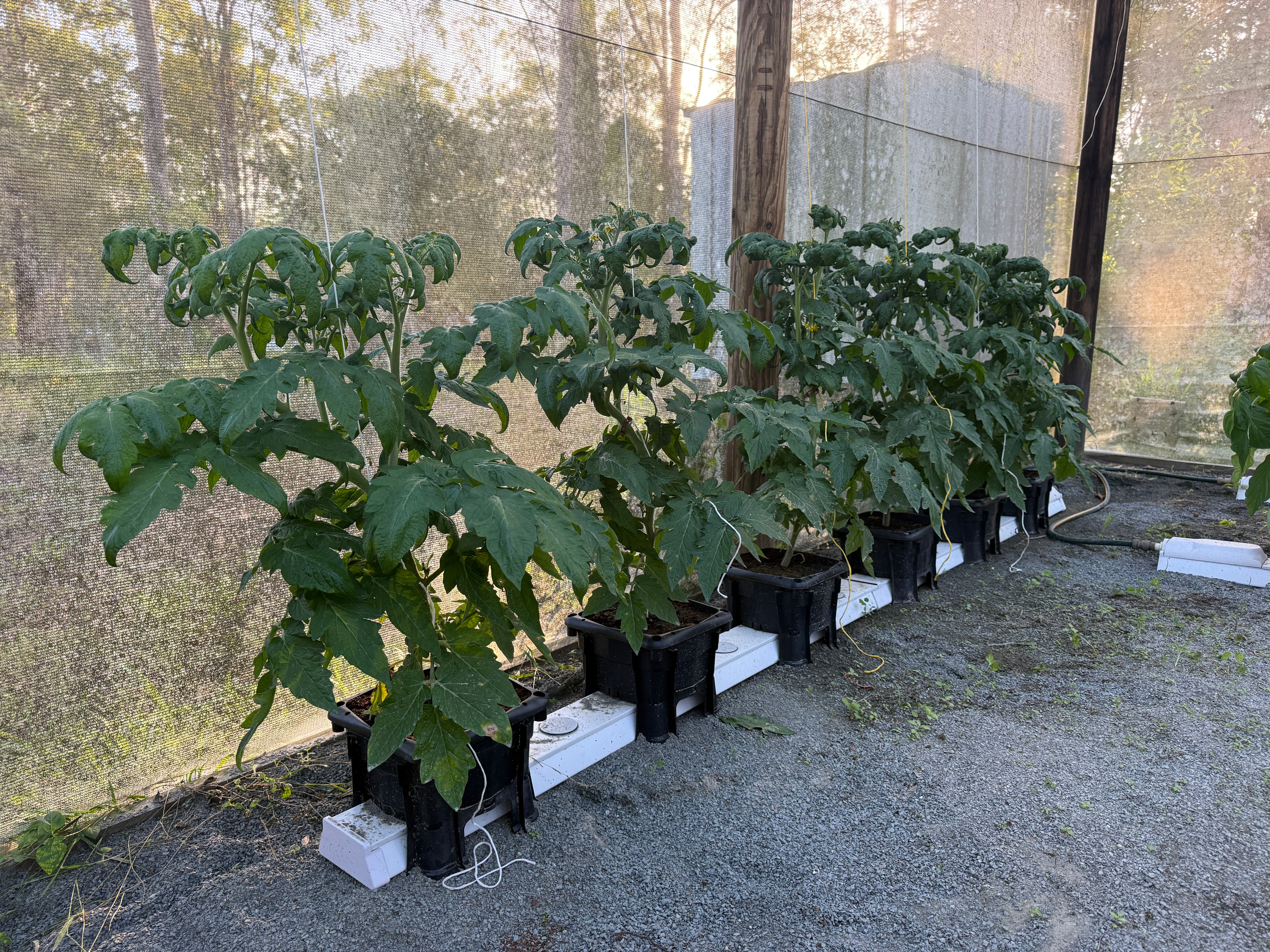 24 Bucket Hooch Multi-Bucket Rain Gutter Grow System Kit