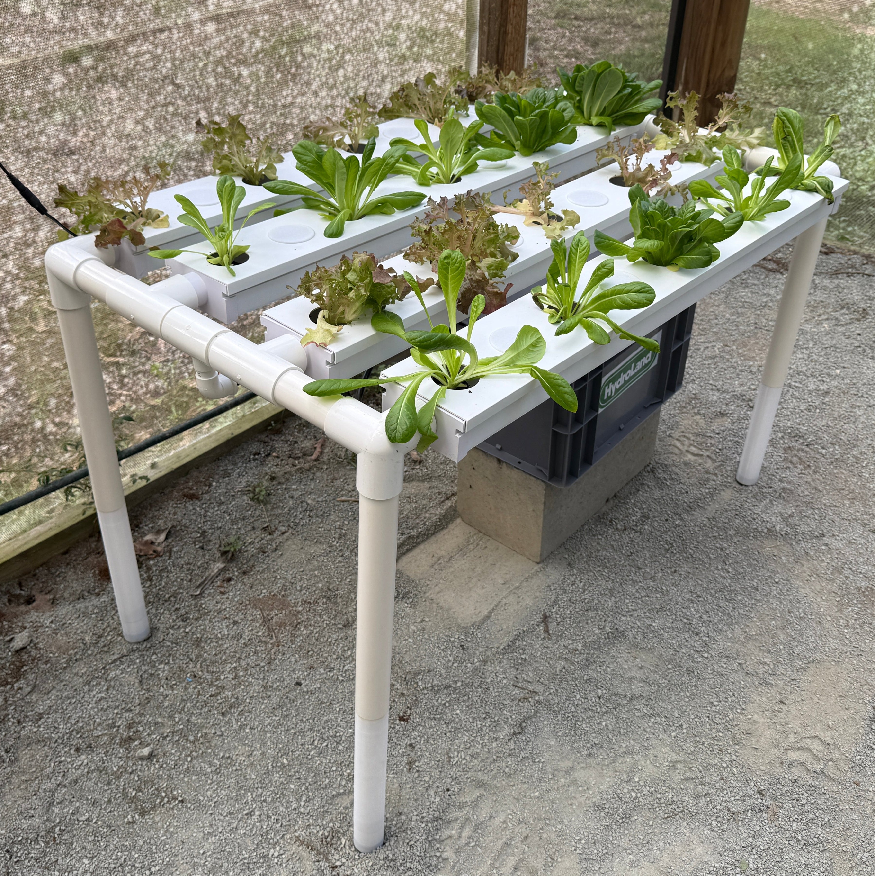 36 Hole NFT System - Medium Nutrient Film Technique (NFT) Kit