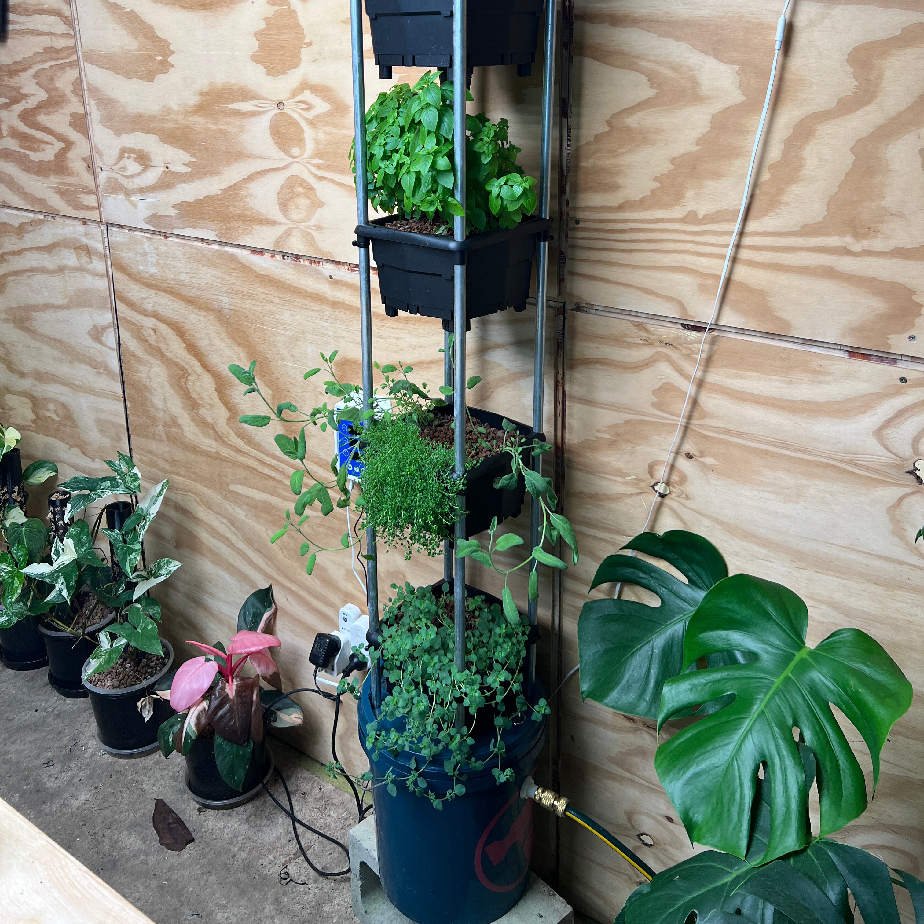 Wicking hydroponic system - hooch multi bucket system