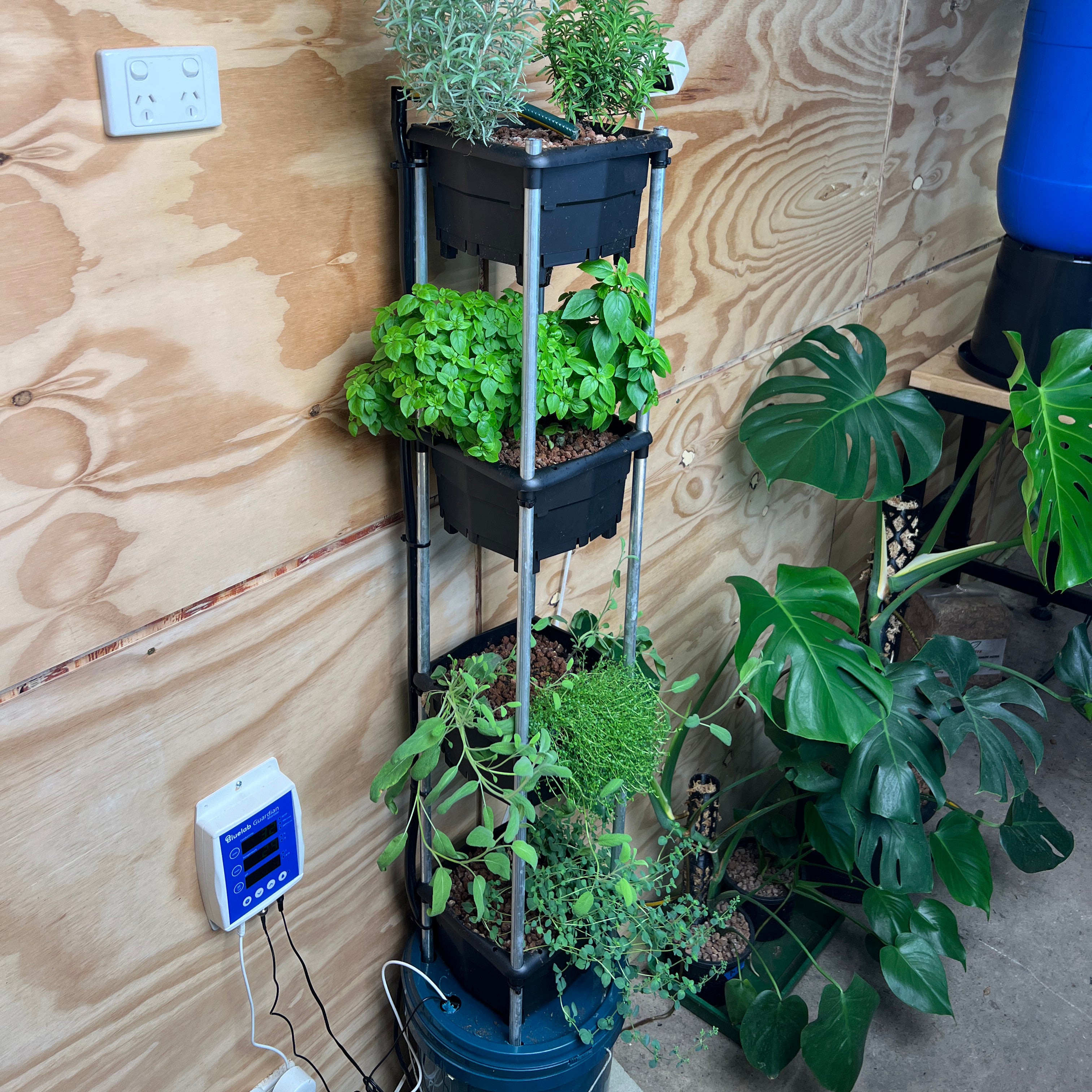 Wicking hydroponic system - hooch multi bucket system