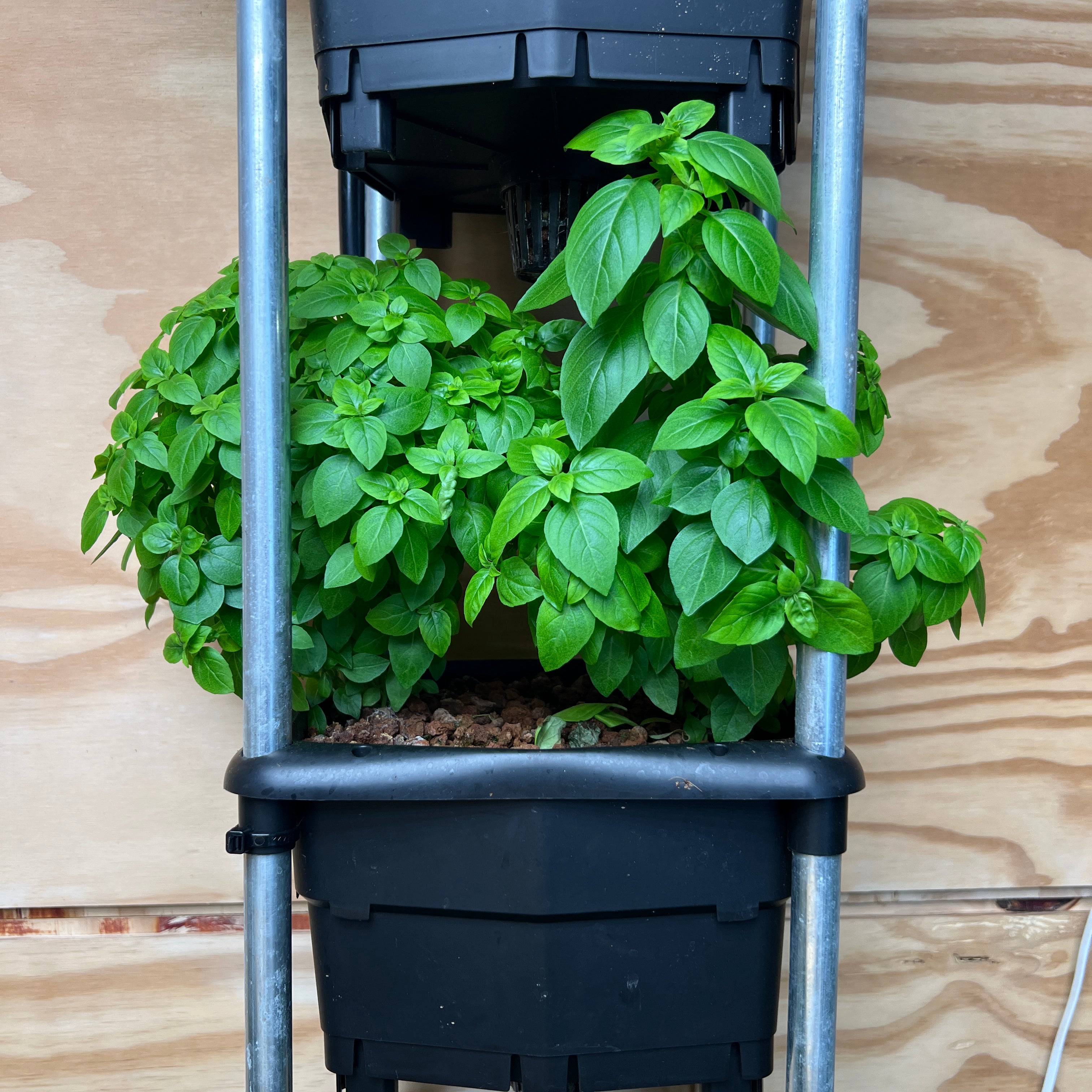 Wicking hydroponic system - hooch multi bucket system