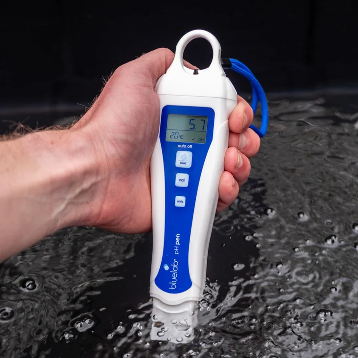 Bluelab pH Pen submerged in hydroponic nutrient solution, measuring pH and temperature.
