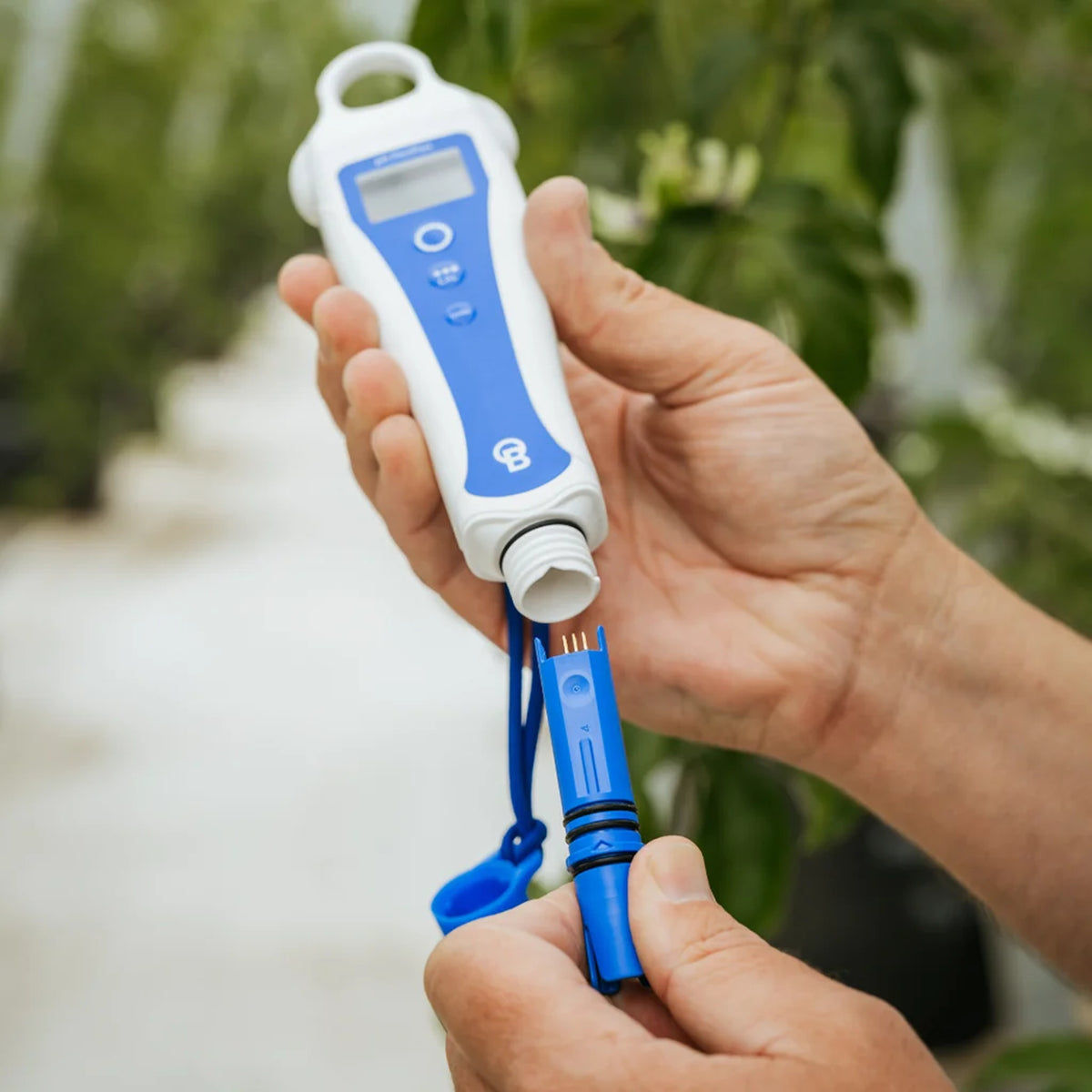 Person holding the BlueLab pH PenPlus Hydroponic pH meter with the replaceable pH probe removed from the device.