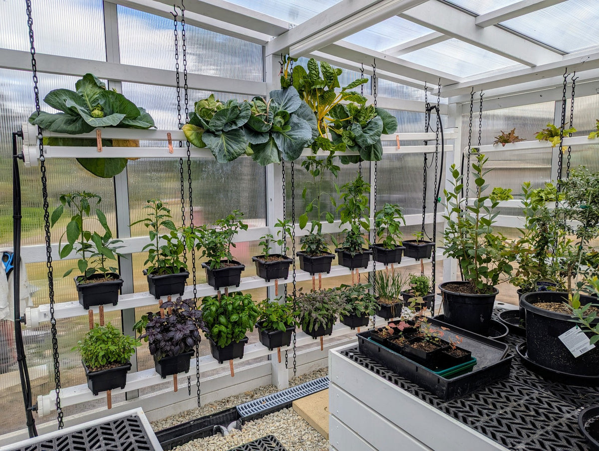 12 Hooch Multi-Bucket Hydroponic System - HydroLand