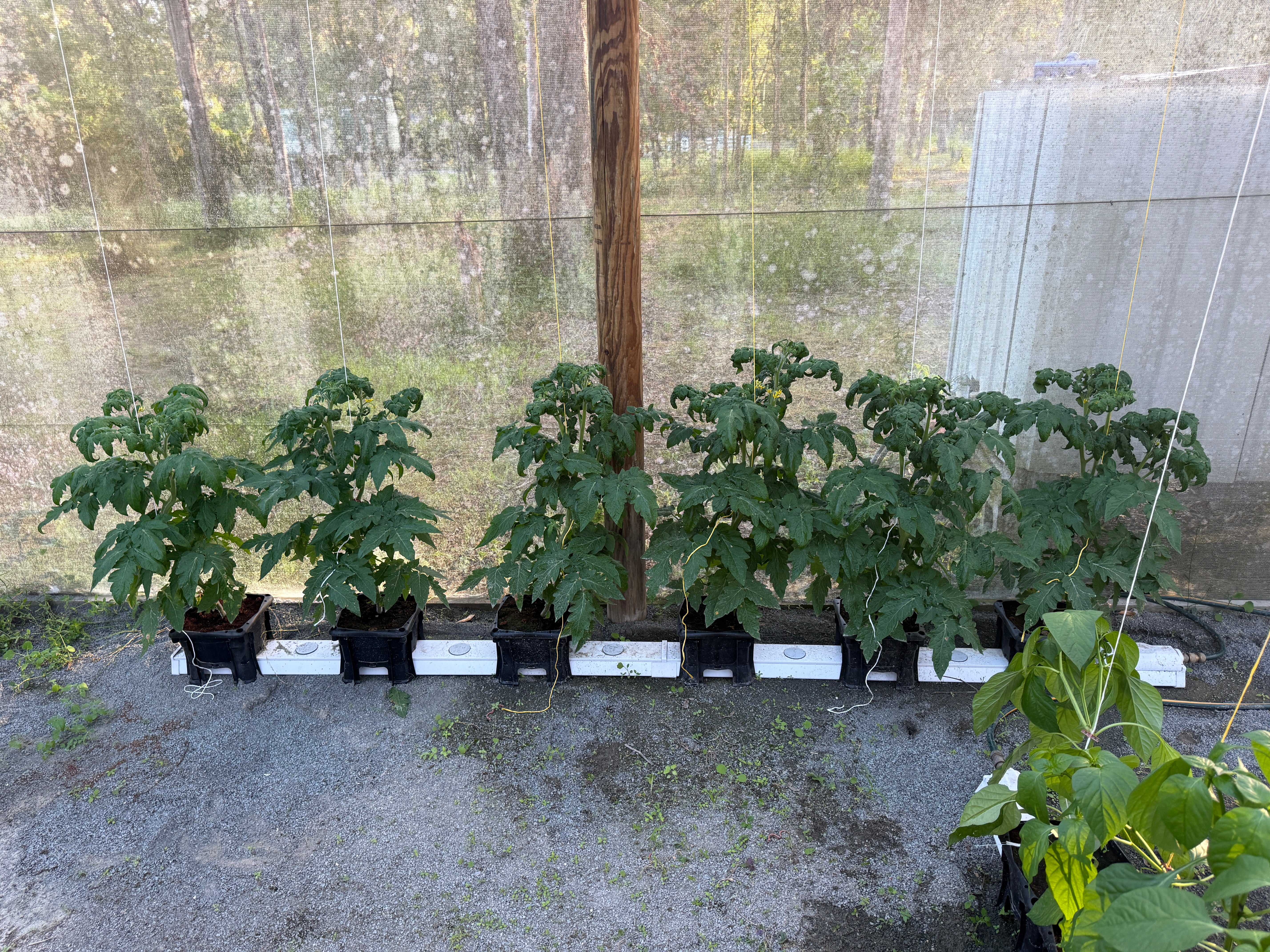 24 Bucket Hooch Multi-Bucket Rain Gutter Grow System Kit