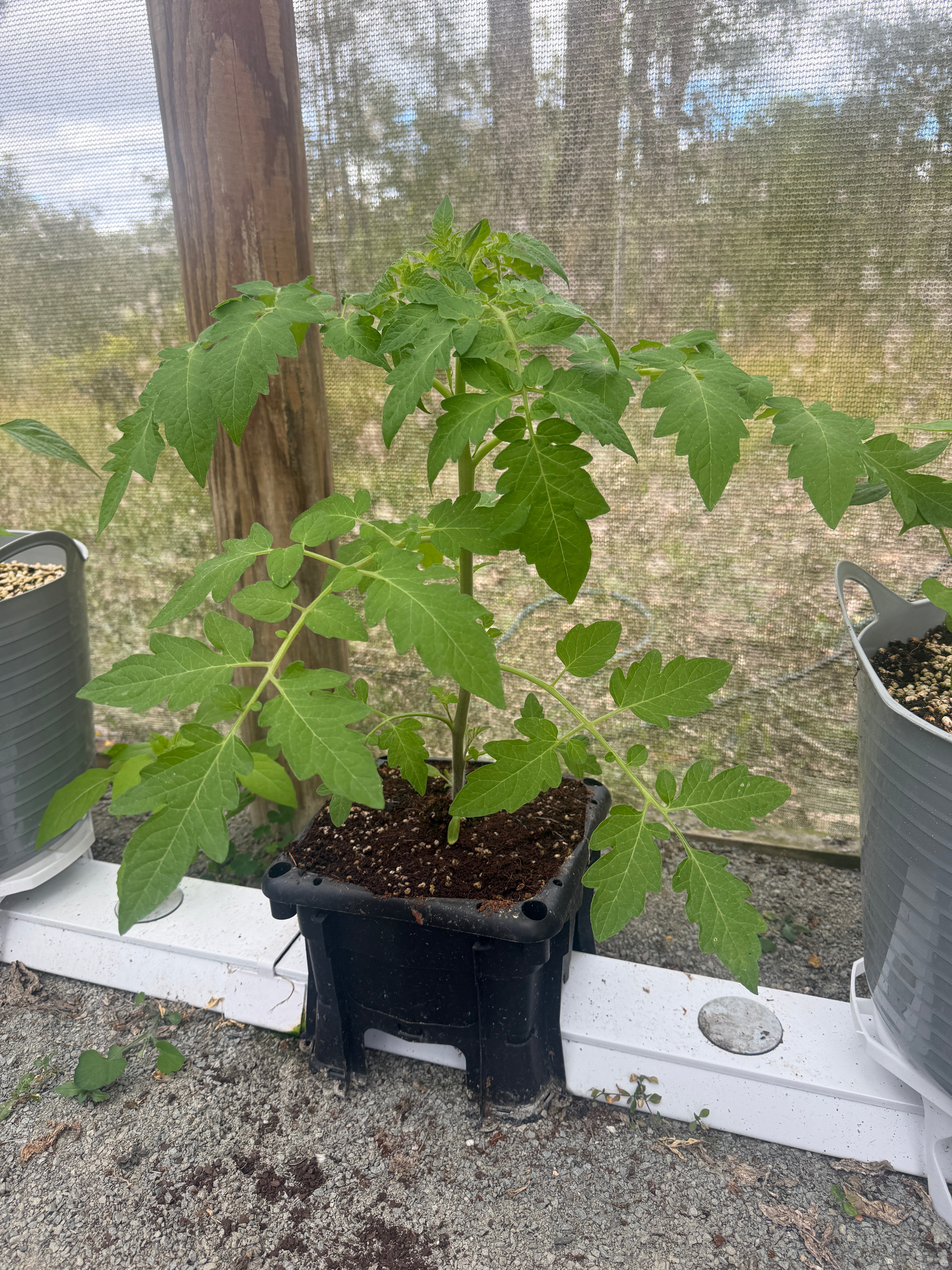 24 Bucket Hooch Multi-Bucket Rain Gutter Grow System Kit