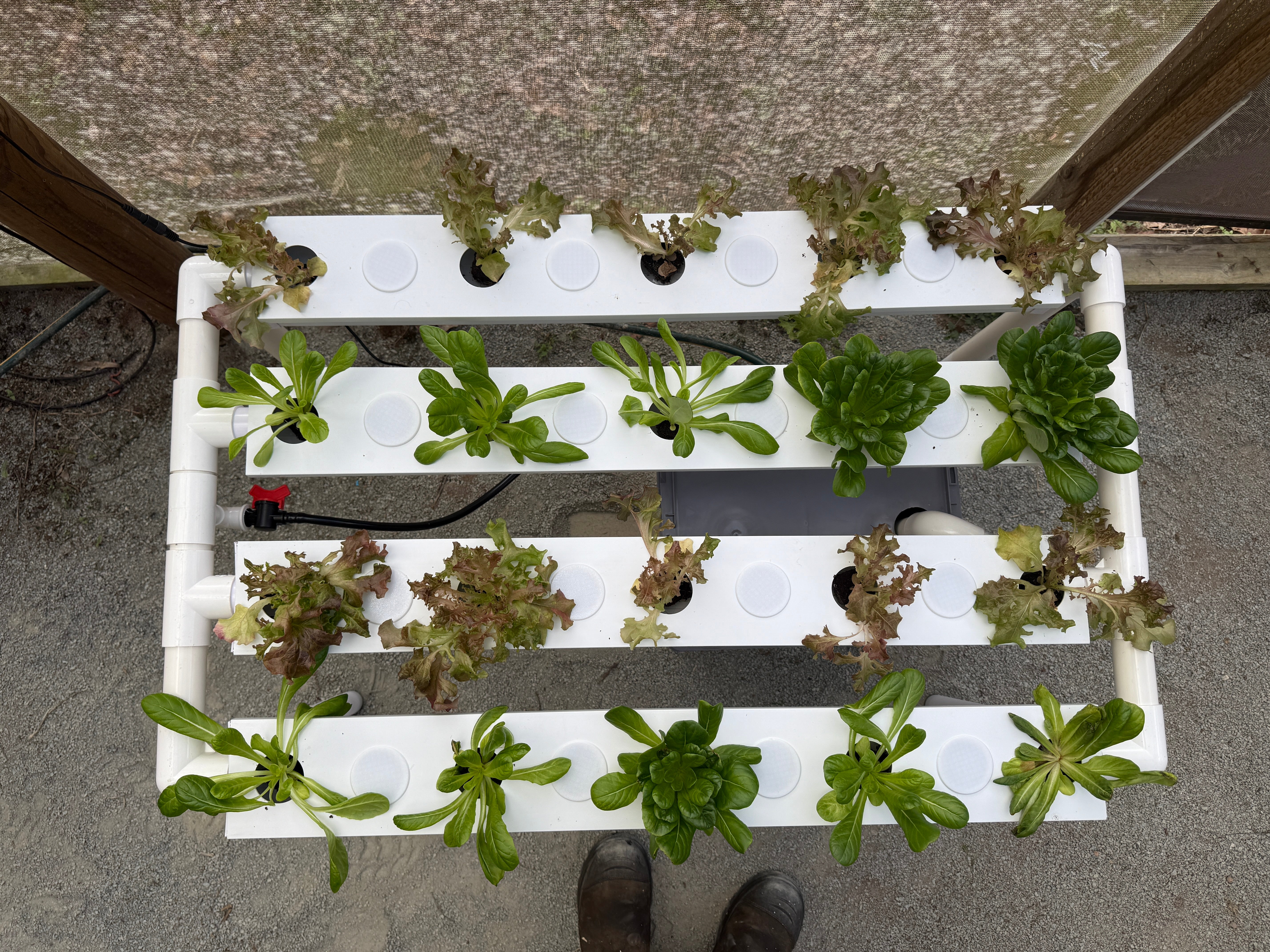 36 Hole NFT System - Medium Nutrient Film Technique (NFT) Kit