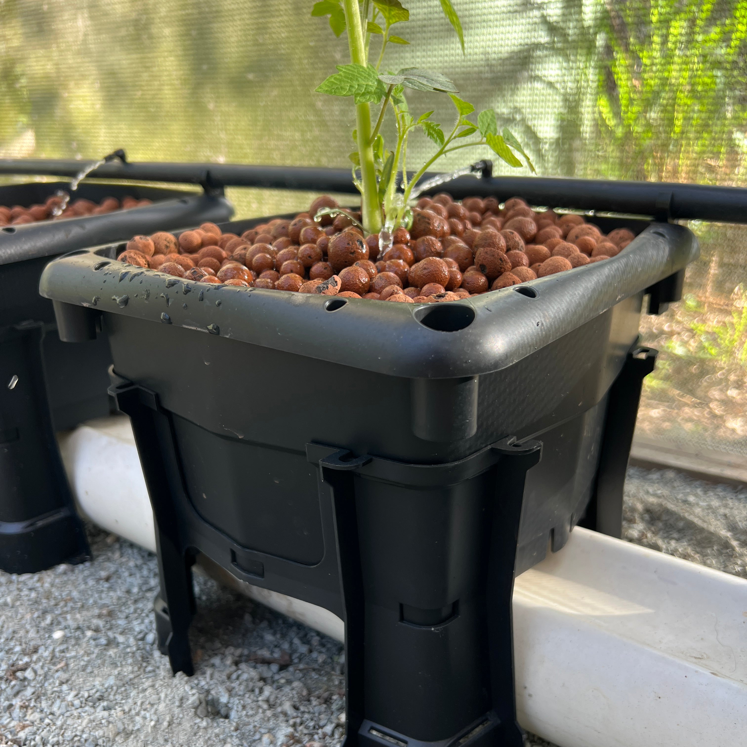 Wicking hydroponic system - hooch multi bucket system