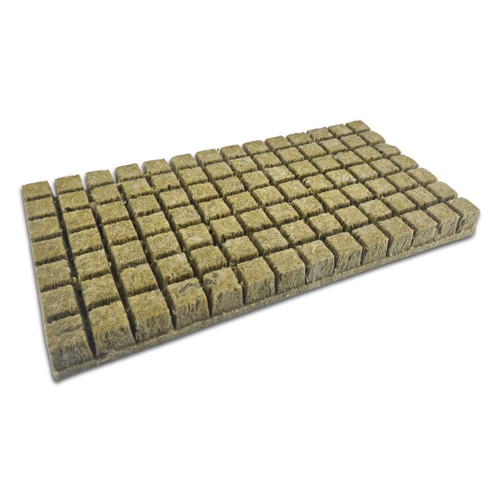 Sheet of 96 Grodan Rockwool Plugs - 36mm hydroponic cubes for seedling propagation.