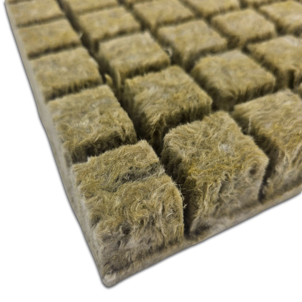 Sheet of 96 Grodan Rockwool Plugs - 36mm hydroponic cubes for seedling propagation.