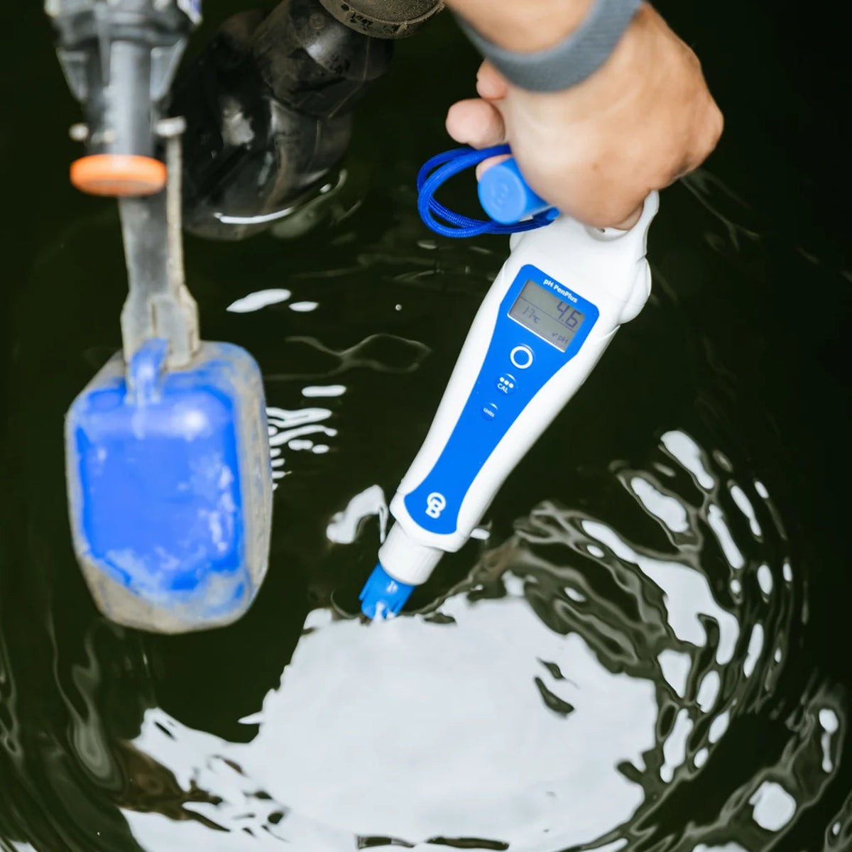 BlueLab pH PenPlus hydroponic pH meter submerged in hydroponic nutrient solution, measuring pH and temperature.